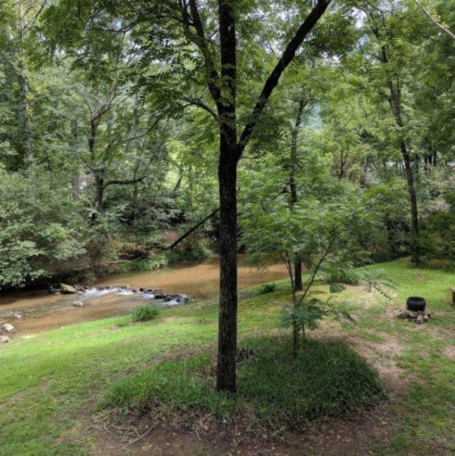 Villa Reedy Patch Cabin Hendersonville Exterior foto